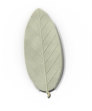 Normal leaf color, not a problem: silver or gray