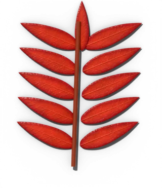 Staghorn sumac leaf in fall, scarlet