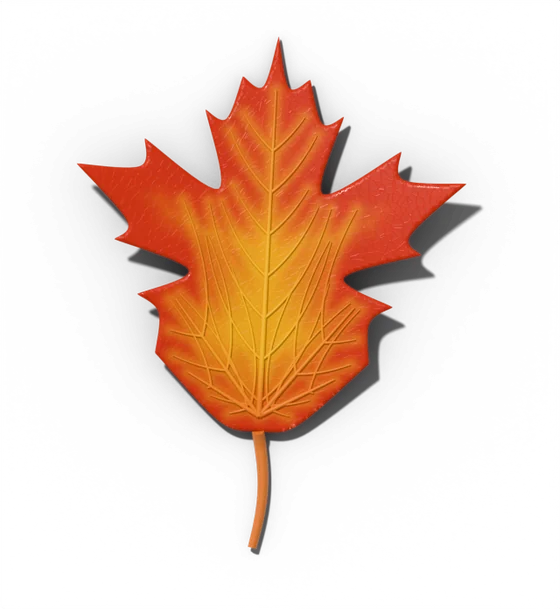 Sugar maple leaf, peak stage