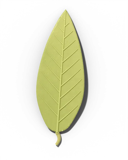 Sulfur (S) symptom: Whole young leaf evenly pale yellow-green, veins too.