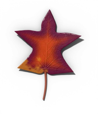 Sweetgum leaf in fall, purple, red, orange