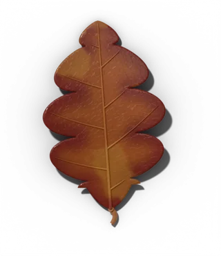 White oak leaf in fall, wine-red to brown