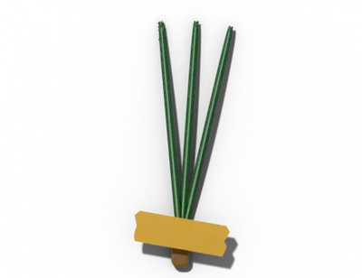 Acicular leaf shape: needle-like
