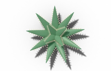 Aloe rosette of thick, fleshy, toothed leaves that store water