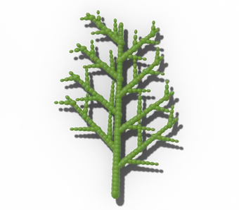 Arborvitae spray of tiny, overlapping scale leaves
