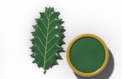 Coriaceous leaf surface, thick and leathery, beside a brass hand lens