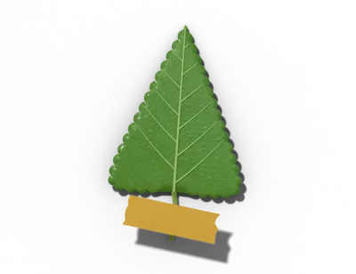 Deltoid leaf shape: triangular