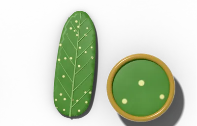 Glandular-dotted leaf surface, see-through oil dots, beside a brass hand lens
