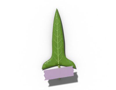 Hastate leaf shape: spear-shaped, lobes flare out