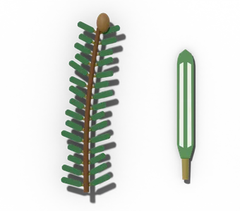 Hemlock twig with short, flat needles on tiny stalks, beside one needle showing two white bands