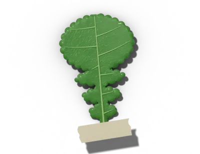 Lyrate leaf shape: lyre-like, large end lobe