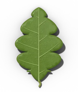 Oak leaf: rounded lobes along the midrib