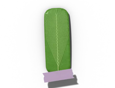Oblong leaf shape: parallel sides, rounded ends