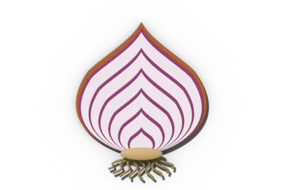 Onion bulb cut in half, showing fleshy scale leaves around the basal plate