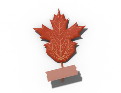 Palmately lobed leaf shape: lobes spread like fingers