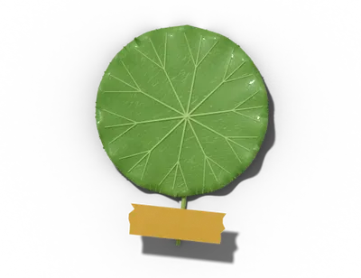 Peltate leaf shape: stalk joins the middle