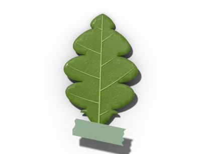 Pinnately lobed leaf shape: lobes along the midrib