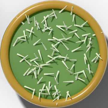Pubescent leaf surface magnified under a hand lens: short, soft hairs