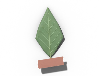 Rhomboid leaf shape: diamond-shaped