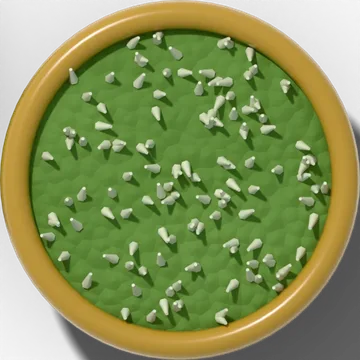Scabrous leaf surface magnified under a hand lens: rough like sandpaper