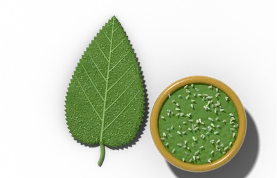 Scabrous leaf surface, rough like sandpaper, beside a brass hand lens