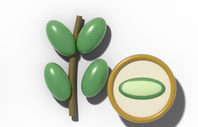 Succulent leaf surface, fleshy and water-storing, beside a brass hand lens