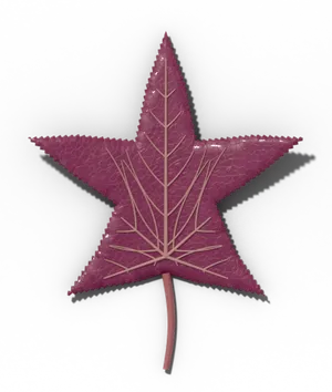 Sweetgum leaf: star-shaped, with five pointed, finely toothed lobes