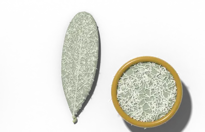 Tomentose leaf surface, dense, matted wool, beside a brass hand lens