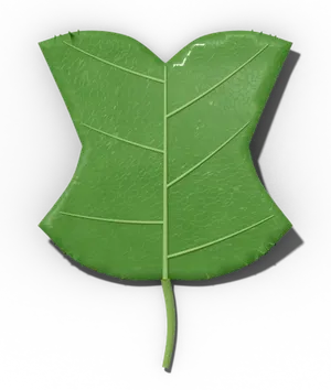 Tulip tree leaf: four lobes and a broad, notched tip