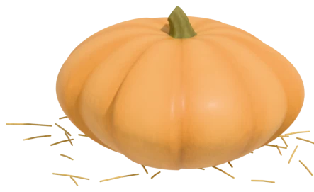 Atlantic Giant pumpkin: parent of most record giants