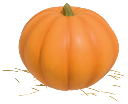 Autumn Gold pumpkin: turns gold early, while still young