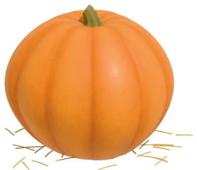 Howden pumpkin: the classic jack-o'-lantern field type