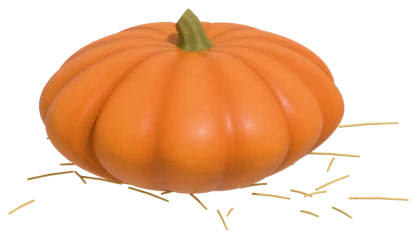 Jack Be Little pumpkin: flat, ribbed, 3 in across