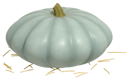 Jarrahdale pumpkin: blue-grey, deeply ribbed