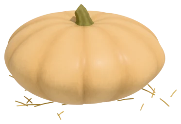 Long Island Cheese pumpkin: tan, flat, like a cheese wheel
