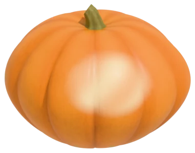 A pumpkin with a bleached patch on its sunny side