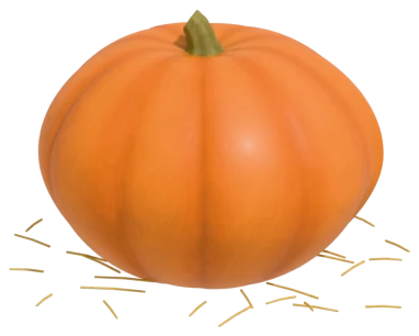 Small Sugar pumpkin: the standard pie type (new england pie)