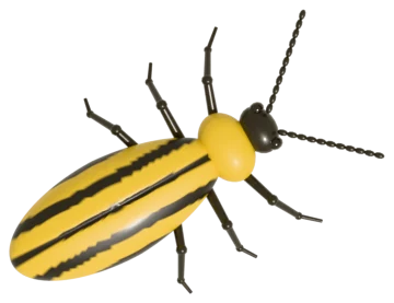 A striped cucumber beetle, yellow with black stripes