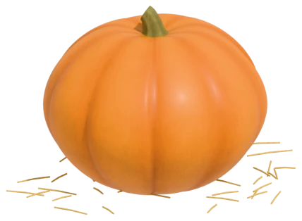 Wee-B-Little pumpkin: round mini on a semi-bush plant
