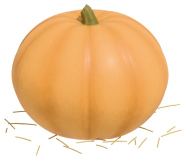 Winter Luxury pumpkin: netted, pale orange skin