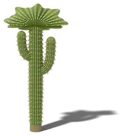 Crested saguaro cactus model: a rare fan-shaped crest at the tip