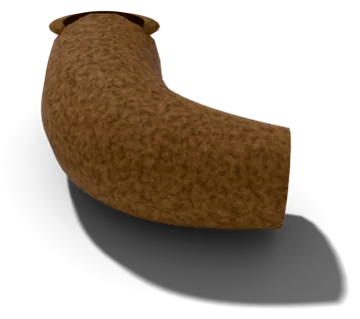 A brown, boot-shaped saguaro boot of hard scar tissue