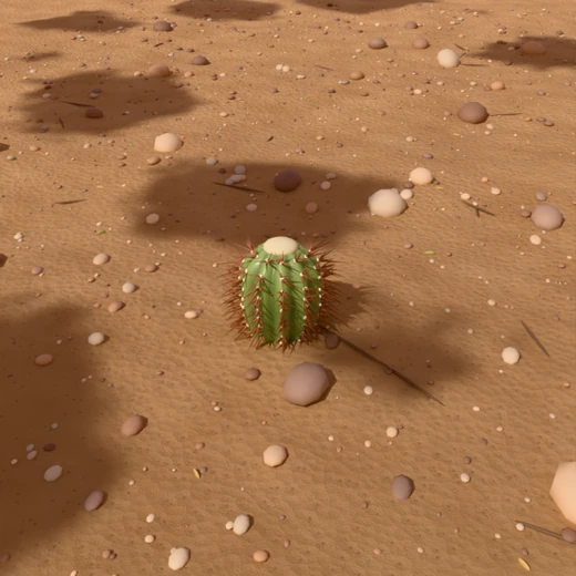 Close-up of a spiny 10-year-old saguaro, small enough to fit in a palm