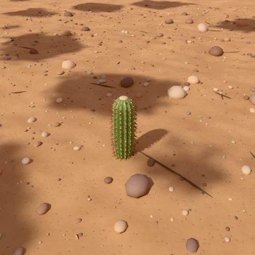 Close-up of a slim 25-year-old saguaro column among pebbles