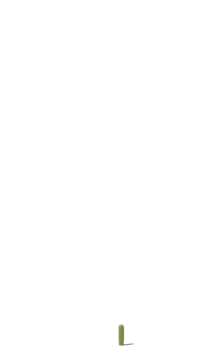 Saguaro cactus at 35 years, drawn to scale beside a 5 ft 9 in person
