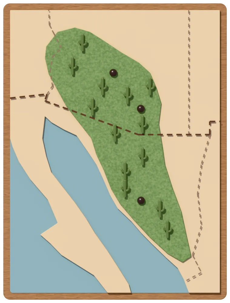 Relief map of Arizona, Sonora and the Gulf of California with the saguaro’s range shaded green