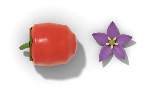 A round red rocoto beside a purple pepper flower