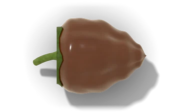 Chocolate habanero pepper