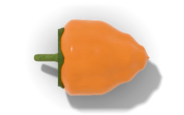 Habanero pepper