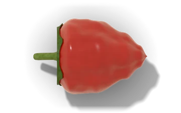 Red Savina pepper